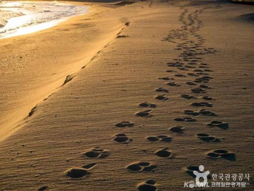 ��ǰ���� ����