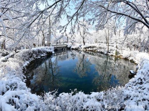 ��ǰ���� ����