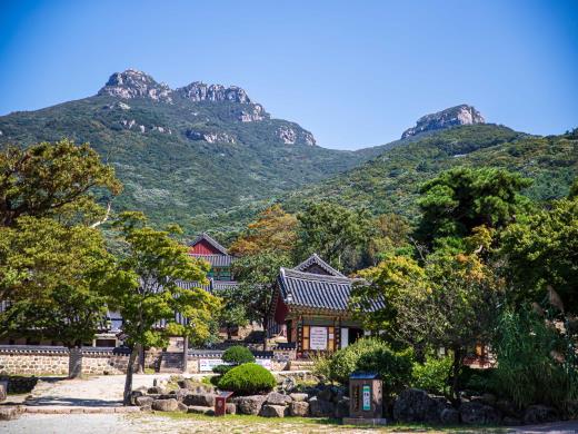 ��ǰ���� ����