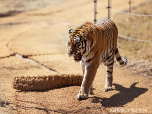 ��ǰ���� ����