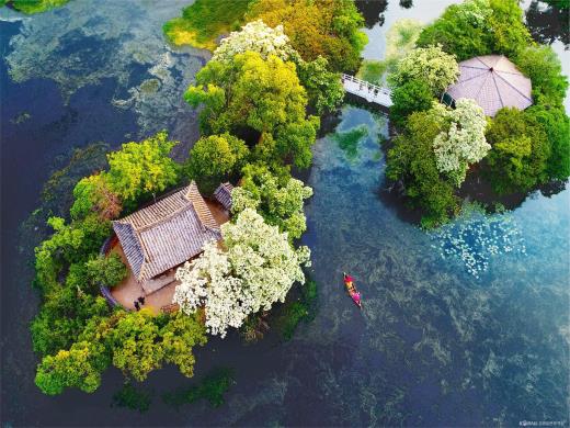 ��ǰ���� ����