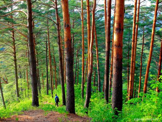 ��ǰ��ǥ�̹���