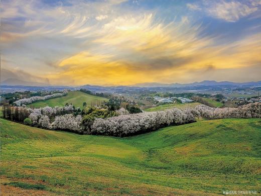 ��ǰ��ǥ�̹���