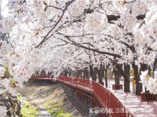 ��ǰ���� ����