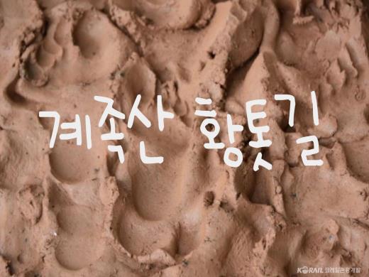 ��ǰ���� ����