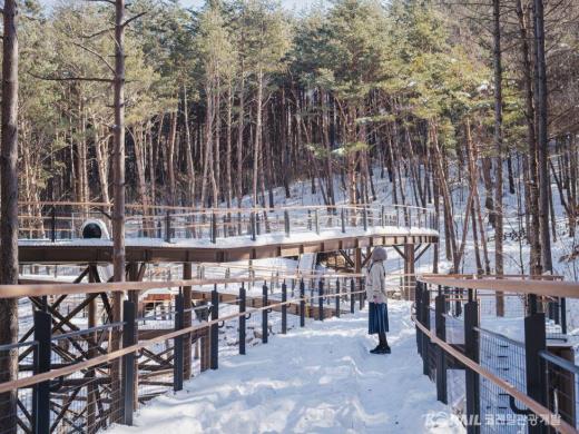 ��ǰ���� ����