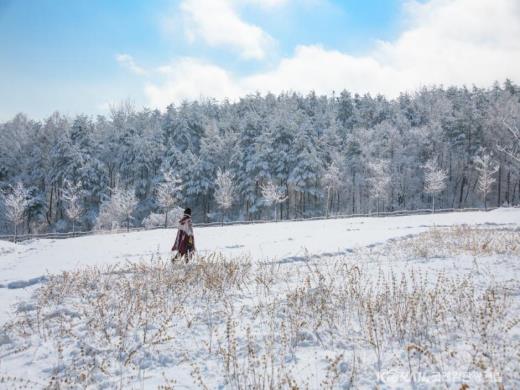 ��ǰ���� ����