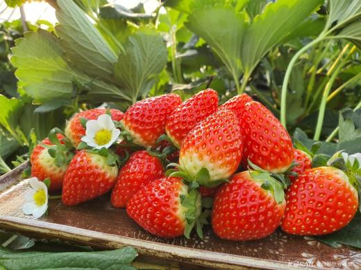 ��ǰ���� ����