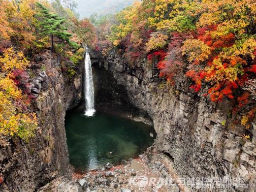 ��ǰ���� ����