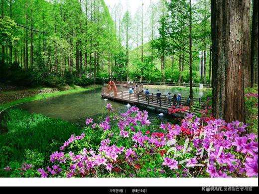 ��ǰ���� ����