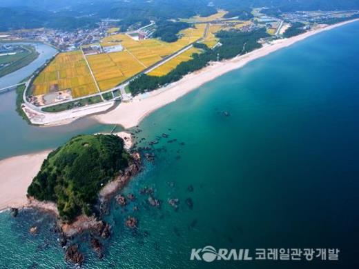 ��ǰ���� ����