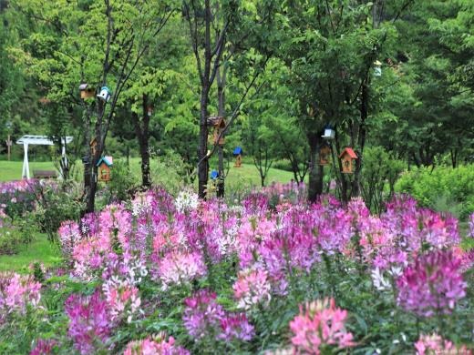 ��ǰ���� ����