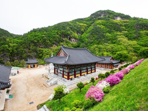 ��ǰ��ǥ�̹���