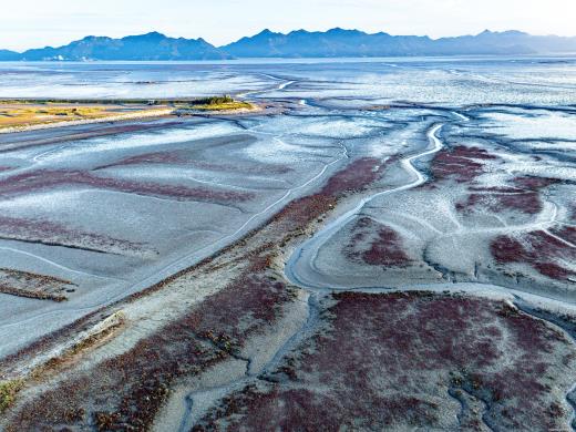 ��ǰ��ǥ�̹���