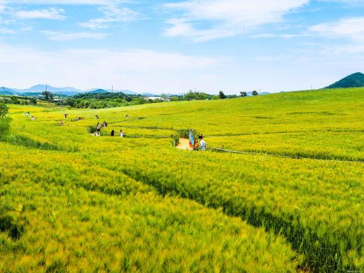 ��ǰ��ǥ�̹���