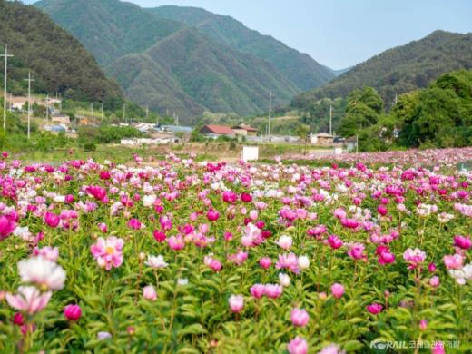 ��ǰ��ǥ�̹���