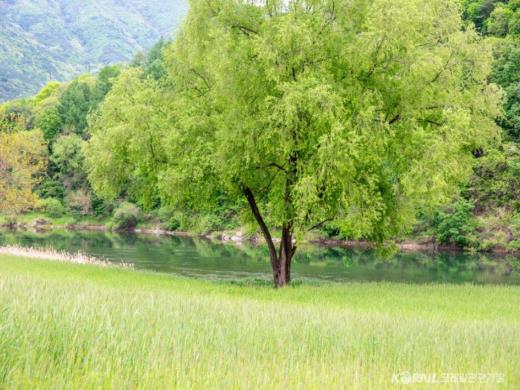 ��ǰ���� ����