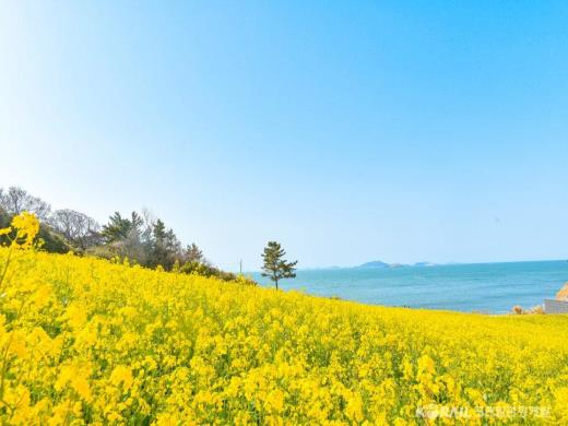 ��ǰ��ǥ�̹���