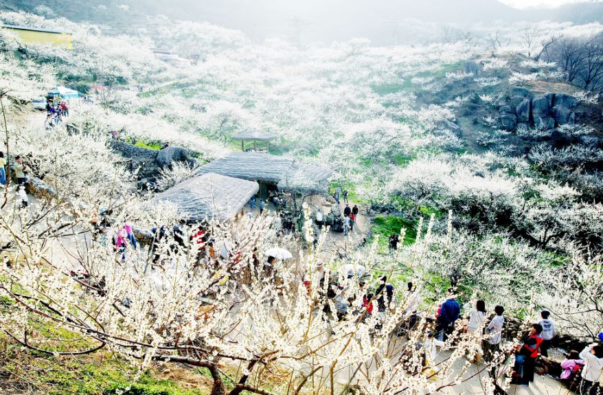 기차여행은 코레일관광개발