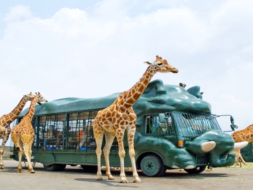 ��ǰ�̹���