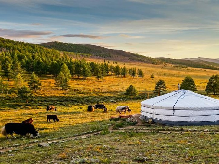 ��ǰ�̹���